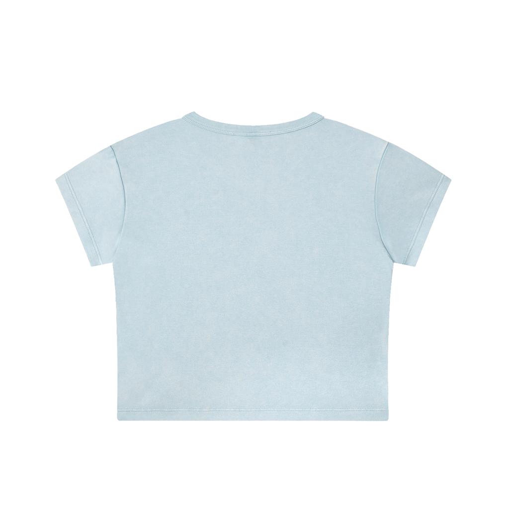 Snow Washed Crop Top